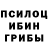 Псилоцибиновые грибы Psilocybe FRANCISNA Gred