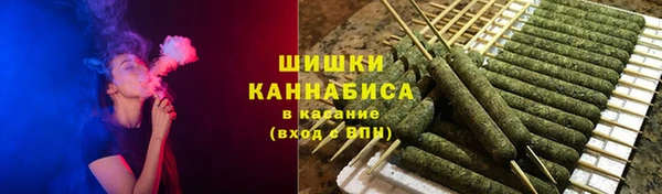 дмт Пестово
